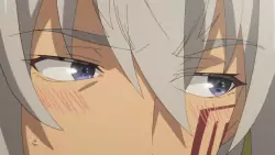 Frame #293290