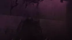 Frame #133294