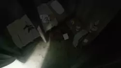 Frame #109261