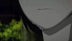 Frame #288477