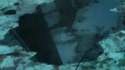 Frame #127639
