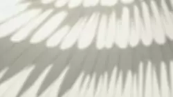 Frame #127126
