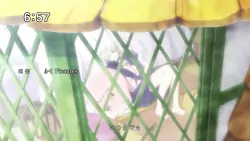 Frame #267423