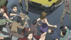 Frame #205427