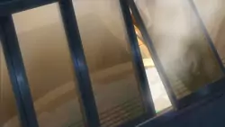 Frame #205526