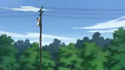 Frame #229427