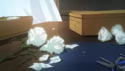 Frame #253705