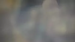 Frame #17369