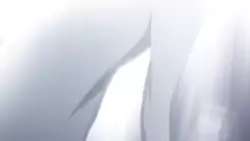 Frame #178467
