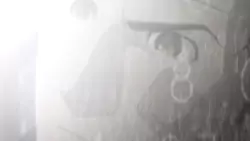 Frame #178893