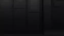 Frame #179249