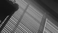 Frame #179579