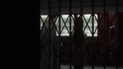 Frame #176925
