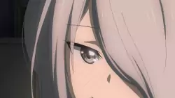 Frame #236062