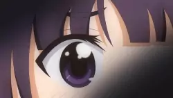 Frame #235617