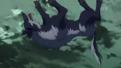 Frame #286489