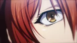 Frame #135903