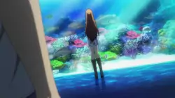 Frame #134476