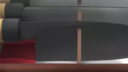Frame #91571