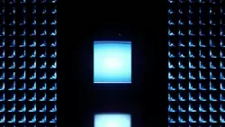 Frame #147585