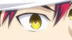 Frame #295402