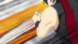 Frame #295506