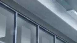 Frame #213107