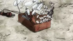 Frame #258993