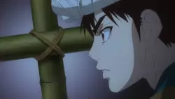 Frame #258423