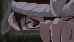 Frame #258290