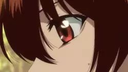 Frame #258472