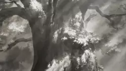 Frame #218834