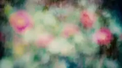 Frame #219016