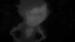 Frame #217035