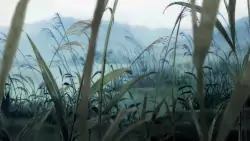 Frame #220098