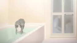 Frame #211606