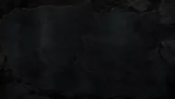 Frame #296805