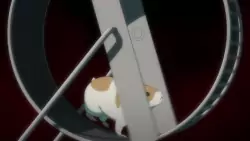 Frame #237578