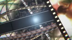 Frame #236408
