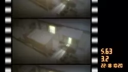 Frame #236931