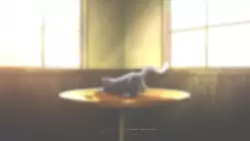 Frame #282226