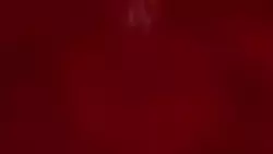 Frame #251357
