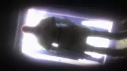 Frame #252389