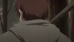 Frame #251035