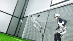 Frame #277572