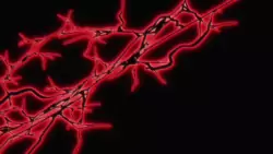 Frame #278022