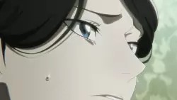 Frame #292247