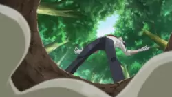 Frame #264338