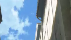 Frame #264445