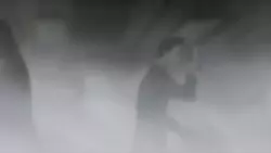 Frame #195834